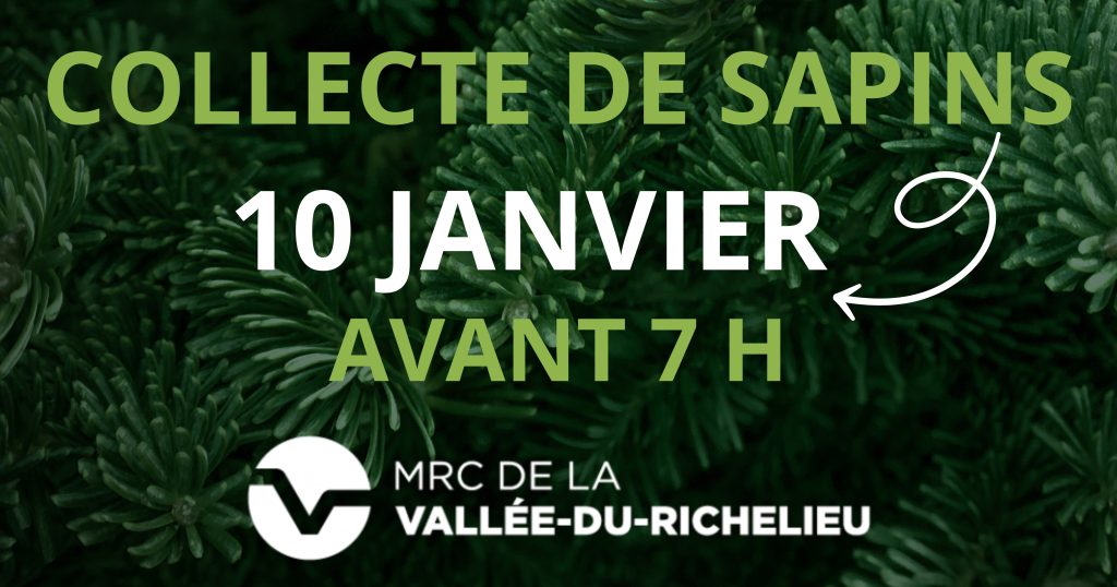 Collecte de sapins naturels le 10 janvier 2025